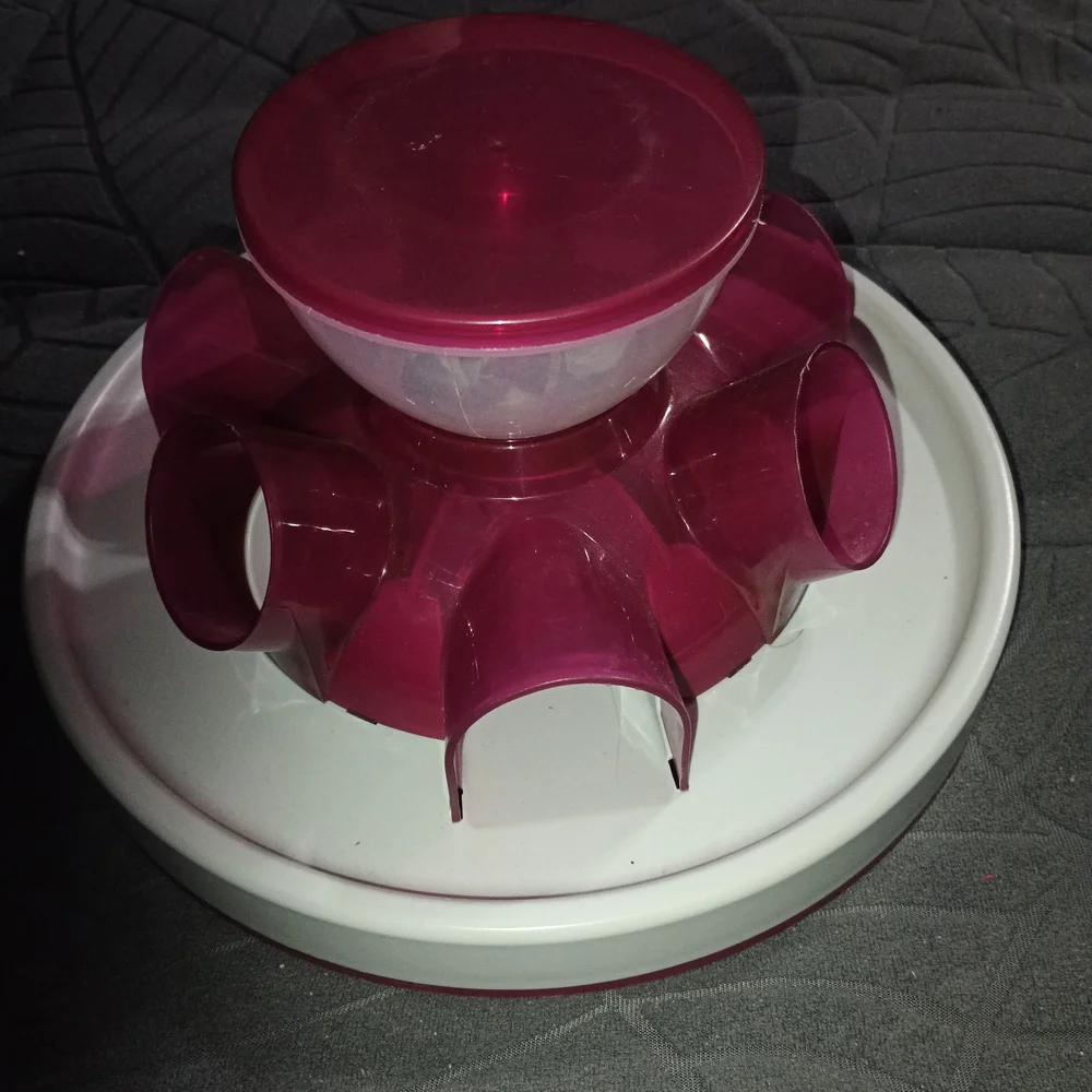 Cat Or Dog Slow Feeder